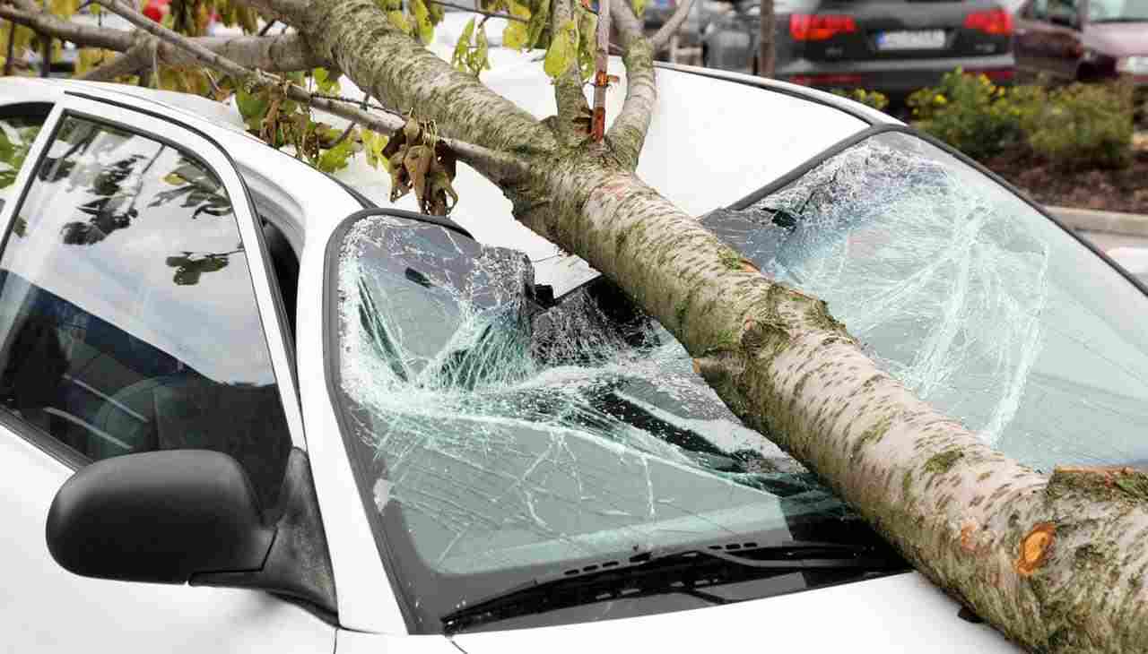 auto distrutta eventi atmosferici