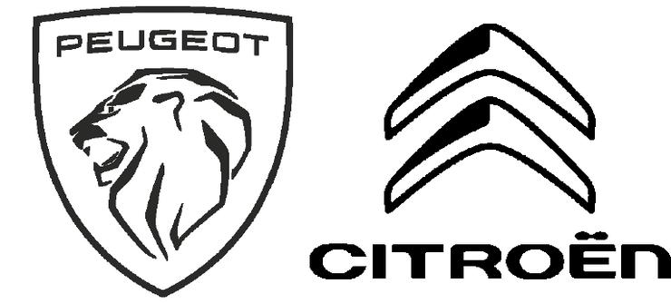 Peugeot e Citroen - 0-100.it