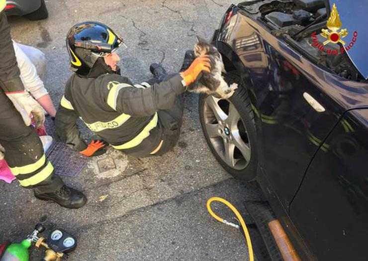 Un automobilista scende dalla macchina e scopre un segreto da brividi