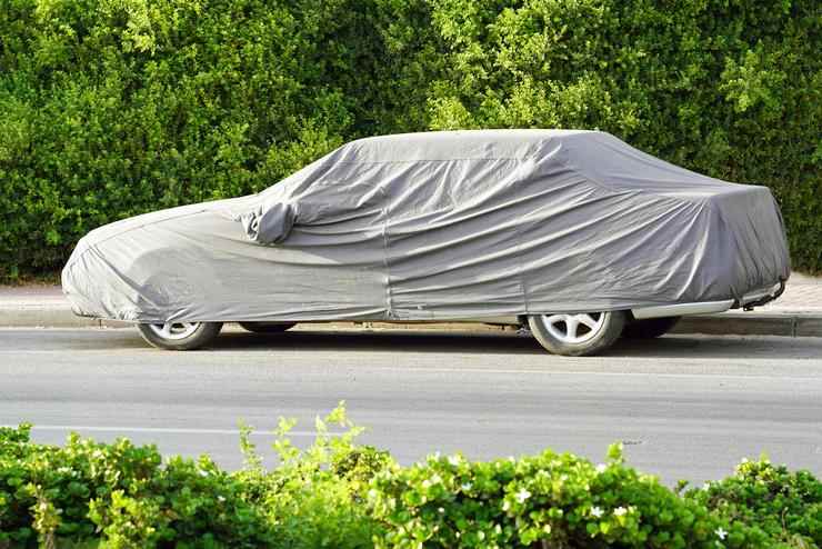 telo auto