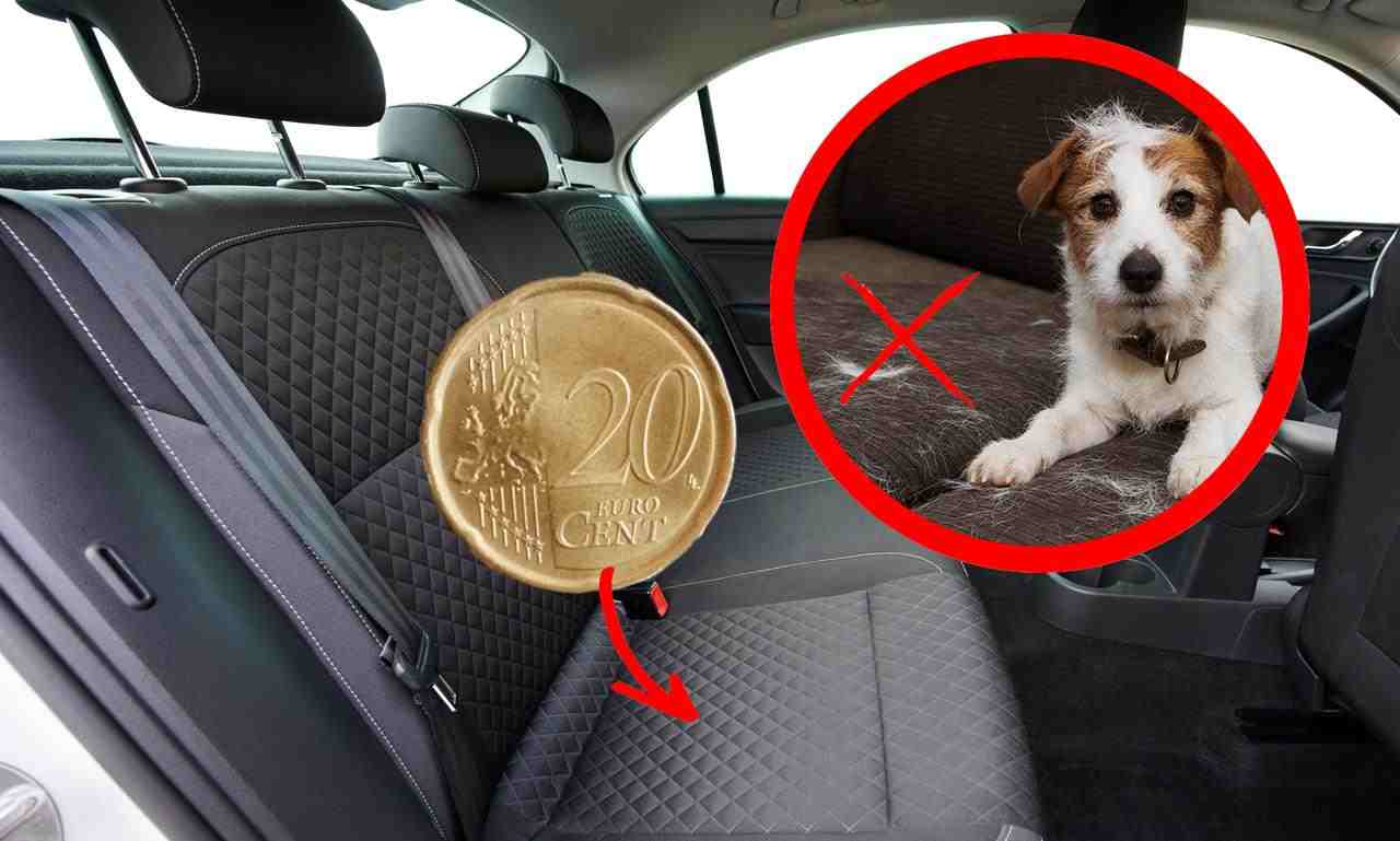 Addio peli di cane in auto