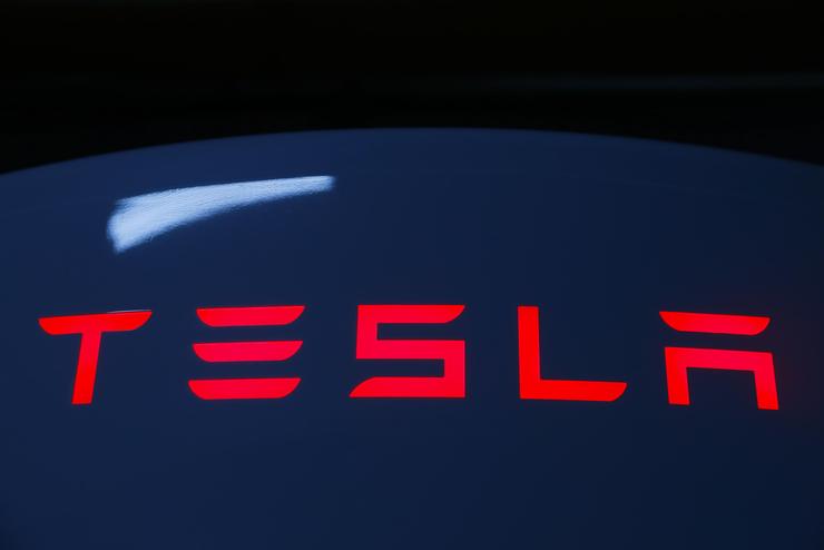 Tesla - AnsaFoto - 0-100.it