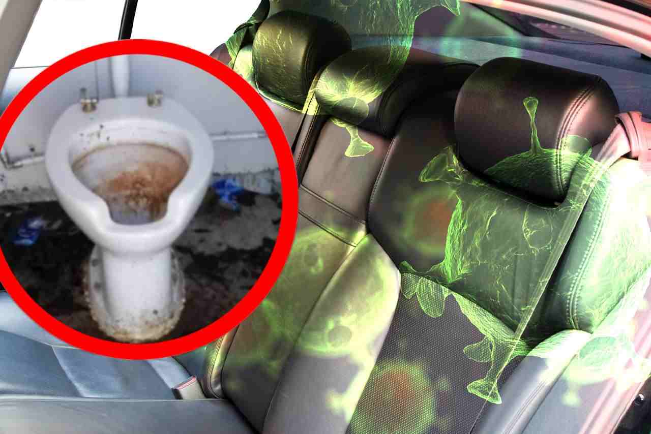 I sedili dell'auto hanno gli stessi germi di un wc